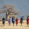Honeymoon Safari & Maasai Boma- 6 days (for couples) - Image 4