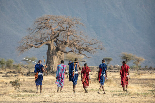 Honeymoon Safari & Maasai Boma- 6 days (for couples) - Image 4