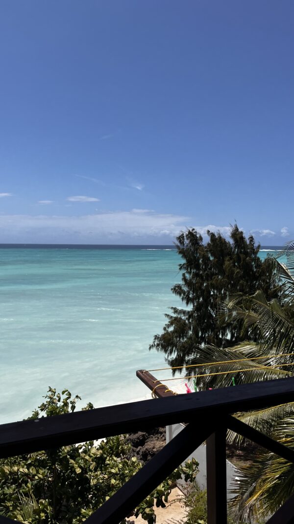 Zanzibar with Nessa III - 6 nights - Image 20