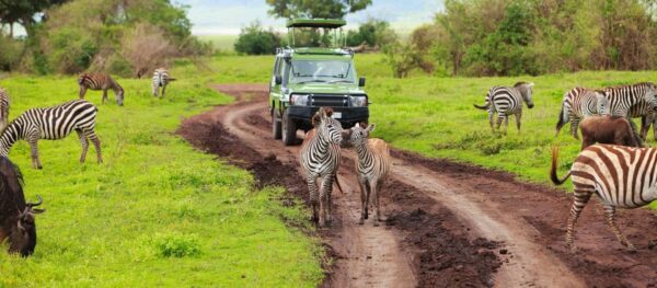 Namibia-Botswana-Victoria Falls with Nessa - 18 days - Image 4