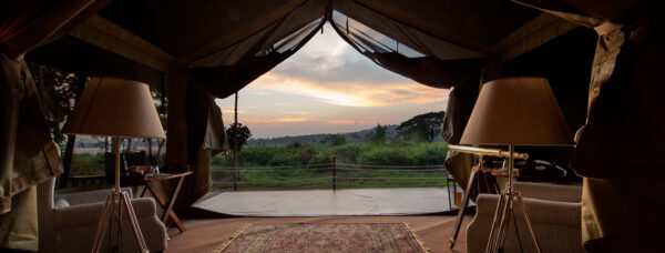 East Africa Safari with Nessa - 6 nights