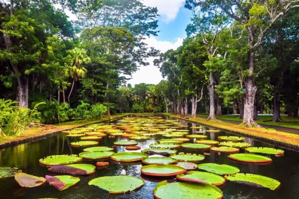 Mauritius with Nessa - 7 days - Image 2