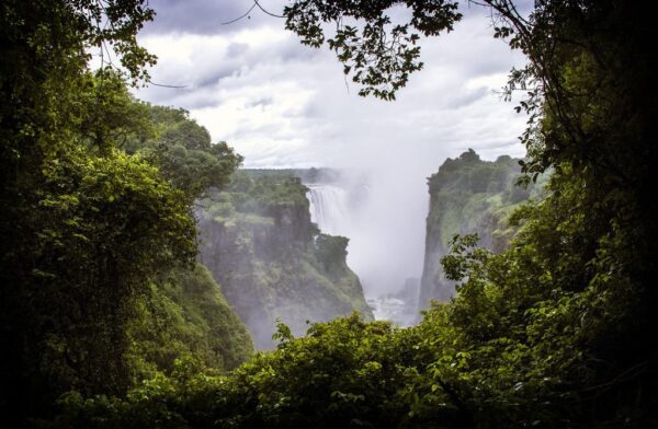 Namibia-Botswana-Victoria Falls with Nessa - 18 days - Image 14